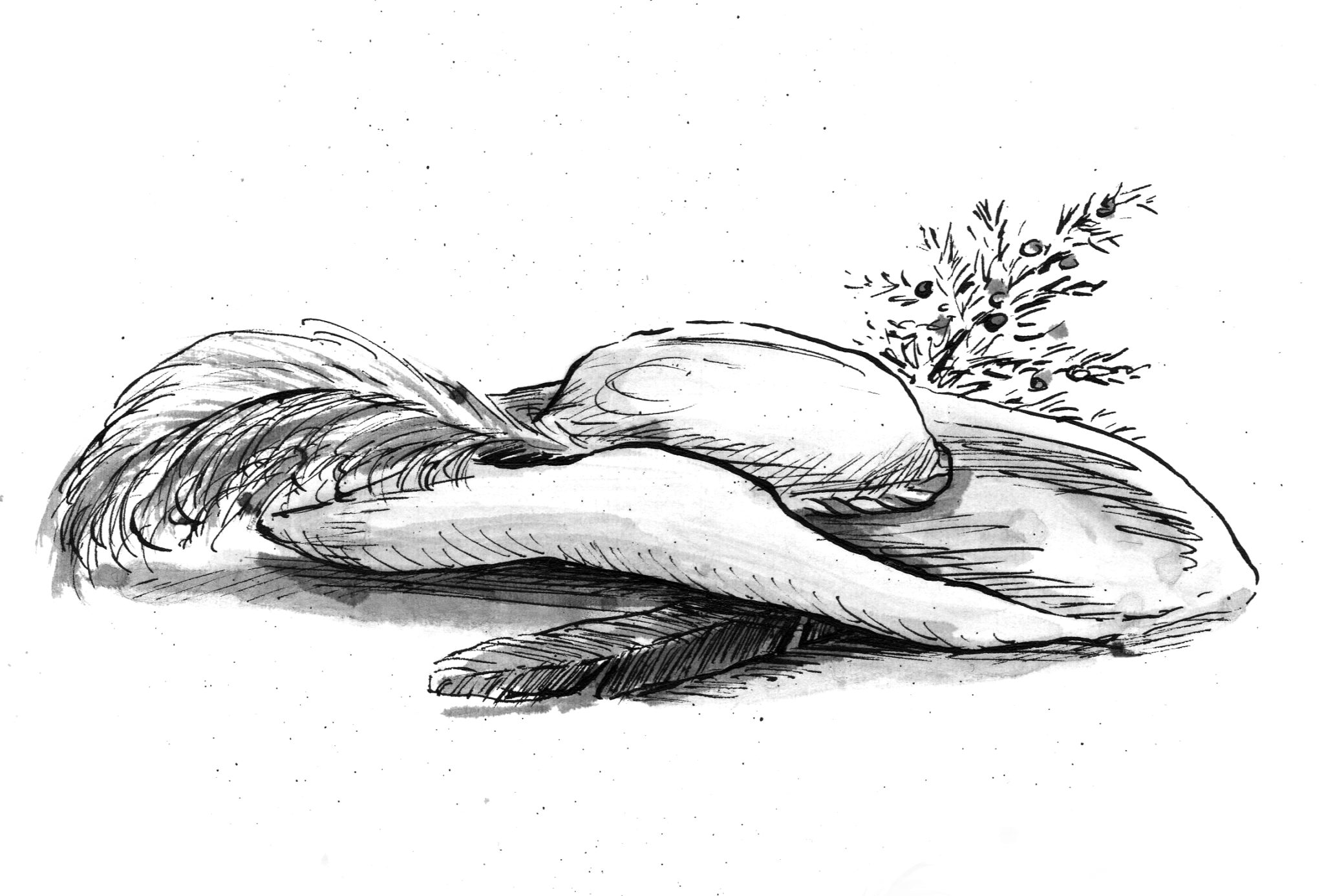 Land Grants Database Southwest Books